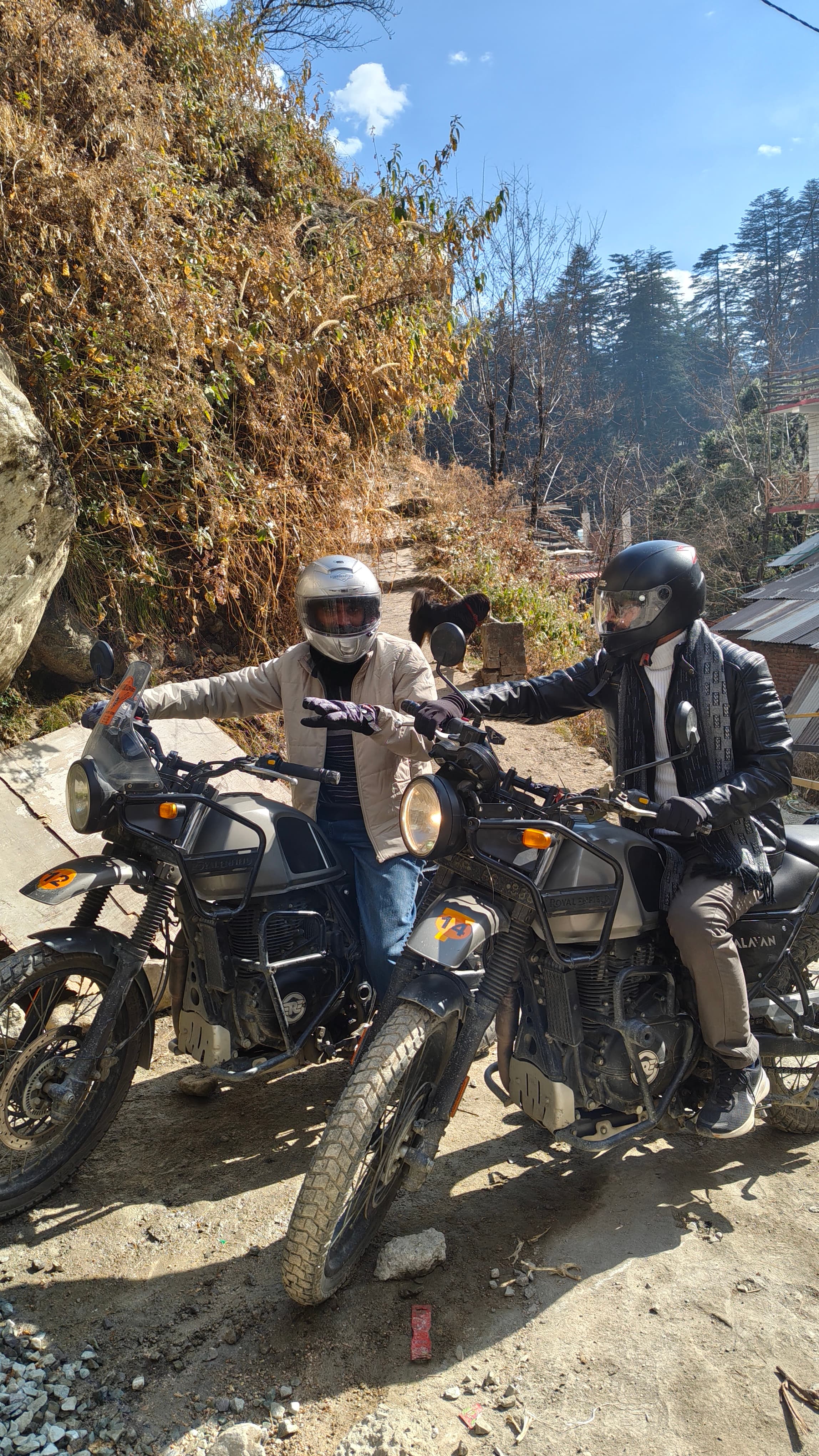 Manali, Himalayas